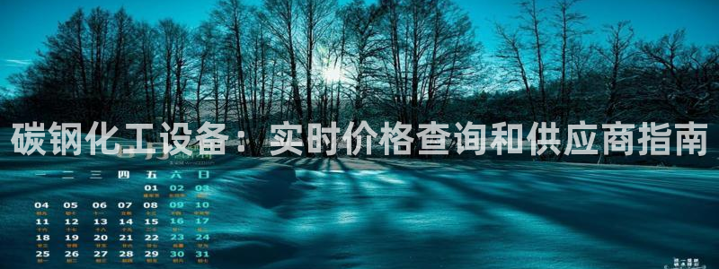 新城平台总代