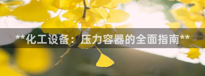 新城平台登录密码忘了怎么办