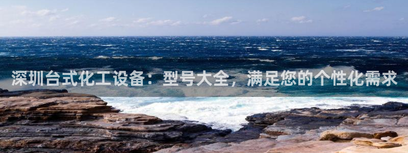 新城平台总代