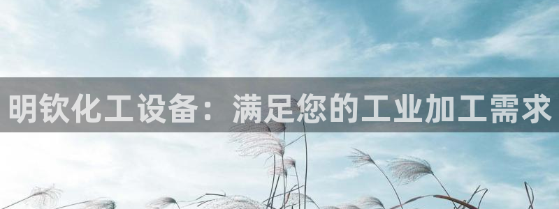 新城平台官网首页网址