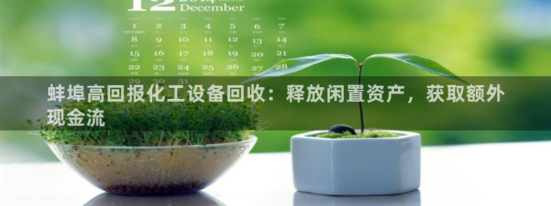 新城平台登录入口官网首页查询
