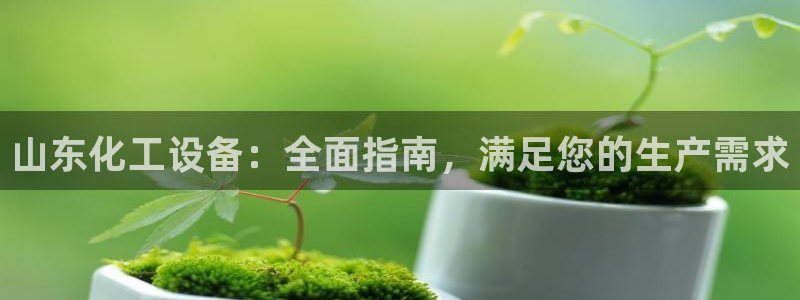 新城平台登录入口官网下载手机版