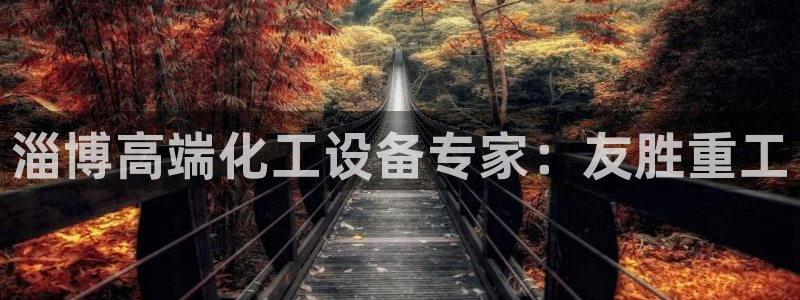 新城平台登录入口官网首页查询