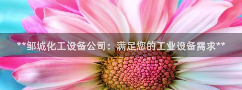 新城平台官网注册