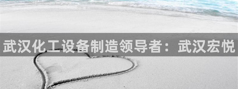 新城平台登录入口官网网址是什么