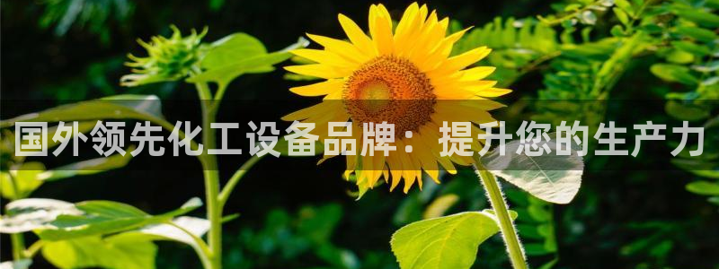 新城平台登录入口官网网址查询