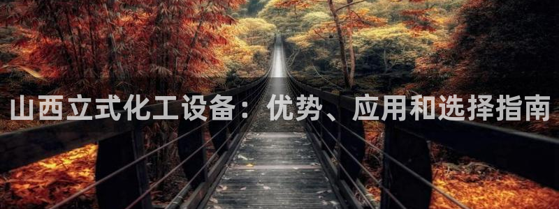 新城平台线路登录不上去怎么办