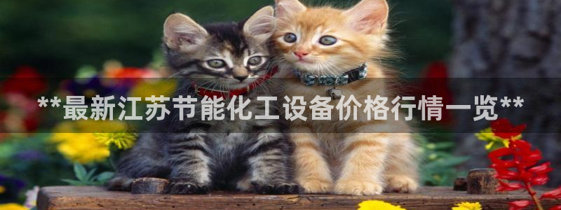 新城平台注册资金多少亿