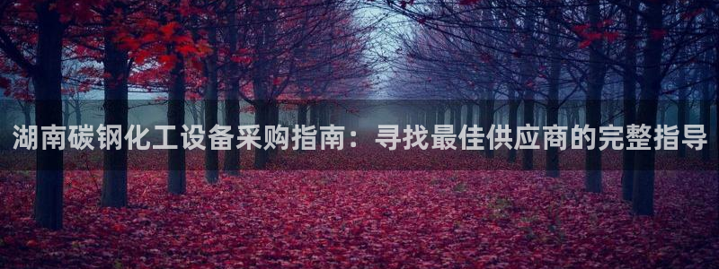 新城平台官网首页入口