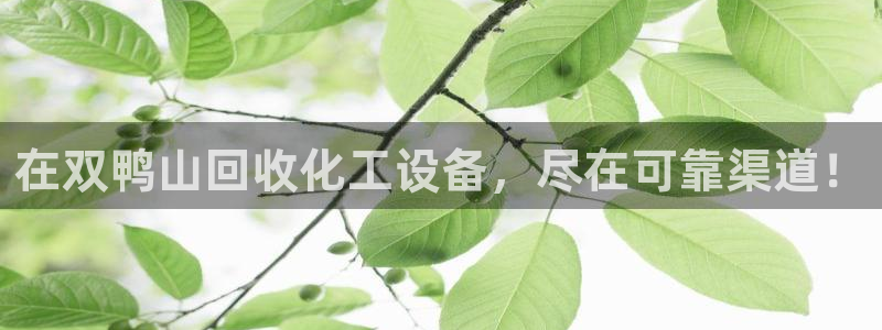 新城平台注册流程及费用