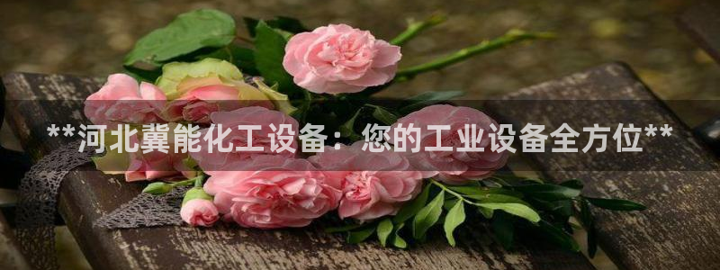 新城平台代理怎么样