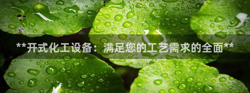 新城平台官网首页入口