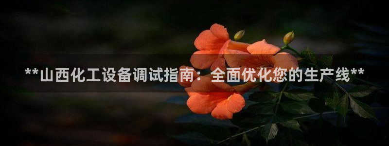 新城平台登录入口官网下载安装