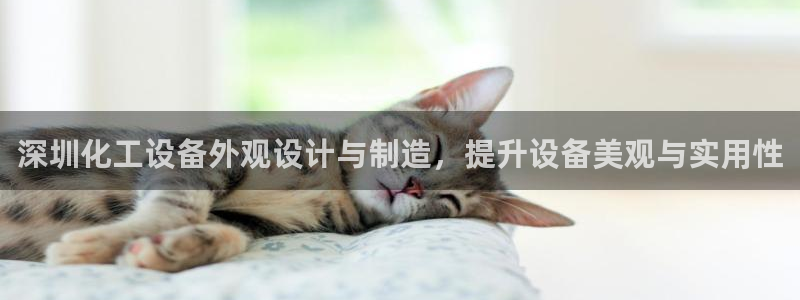 新城平台平台最新活动有哪些