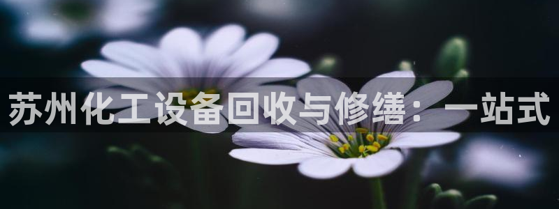 新城平台