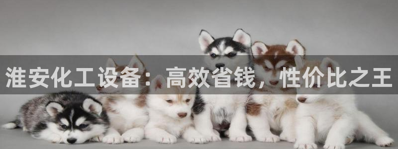 新城平台是干嘛的公司啊