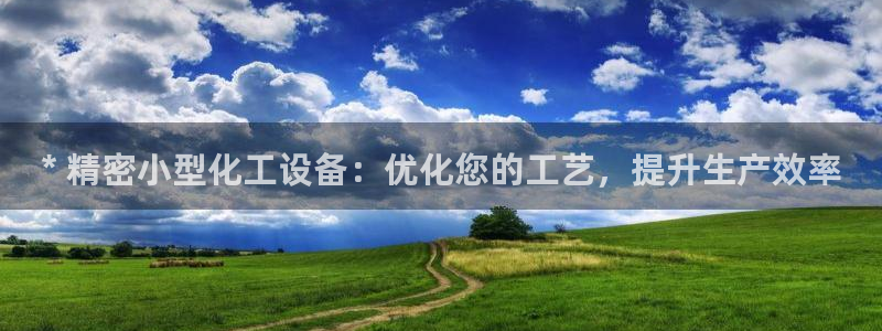 新城平台登录入口官网查询网址