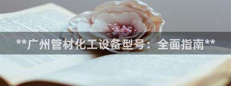新城平台登录入口官网查询