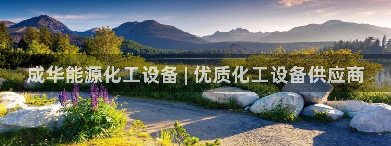 新城平台注册网址是什么