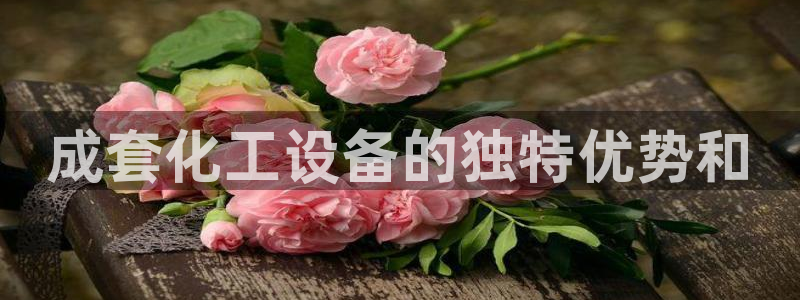 新城平台注册登录地址怎么填