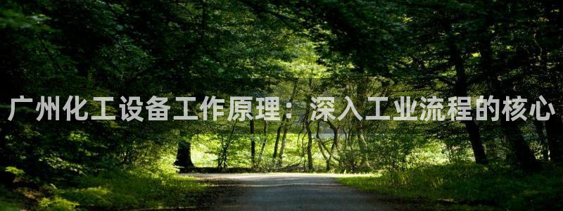 新城平台总代
