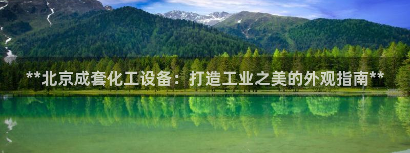 新城平台总代