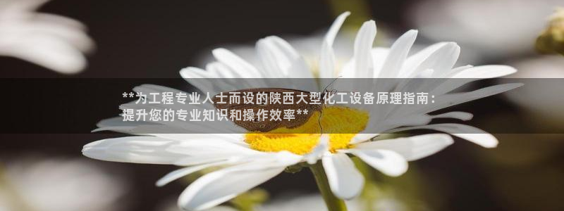 新城平台代理注册流程