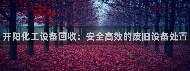 新城平台注册登录地址怎么填