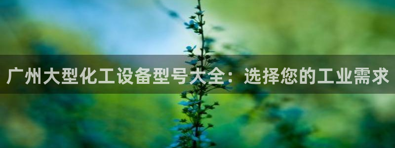 新城平台注册流程视频