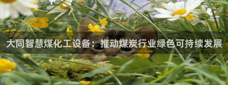 新城平台登录入口官网下载