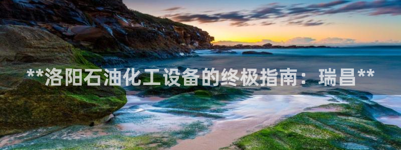 新城平台注册登录地址