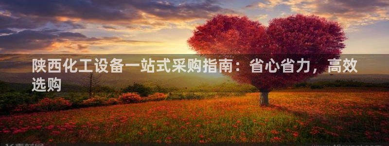新城平台注册登录地址