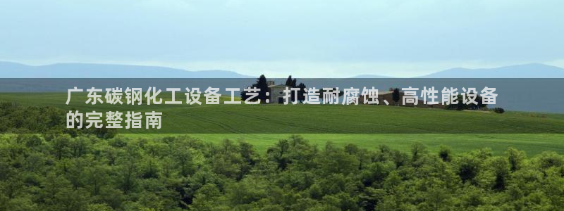 新城平台是干嘛的公司