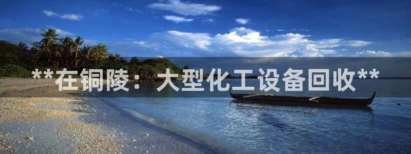 新城平台登录入口官网查询