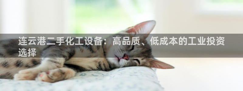 新城平台负责人电话