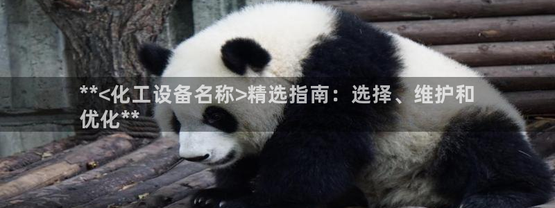 新城平台代理注册公司