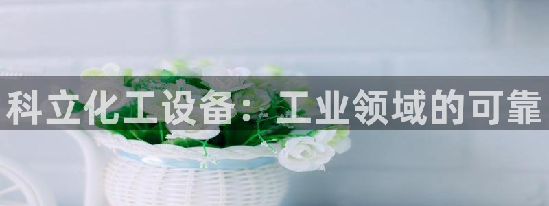 新城平台进.新城平台.稳定风险提示