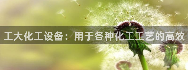 新城平台注册资金多少