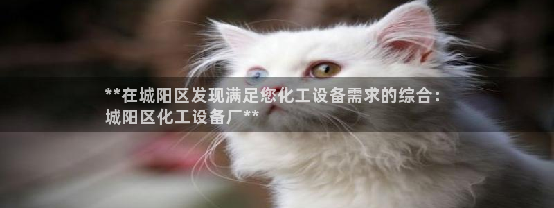 新城平台登录入口官网网址查询