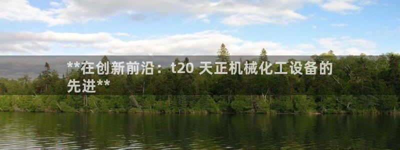 新城平台是干嘛的公司有哪些