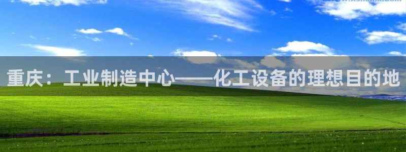 新城平台注册公司流程