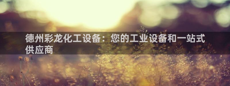 新城平台注册网址
