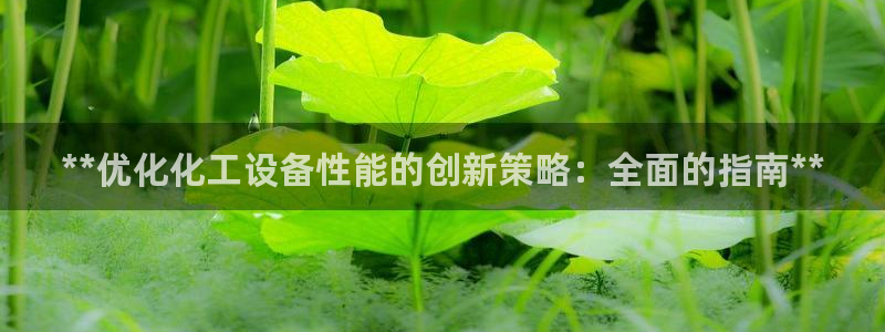 新城平台负责人电话