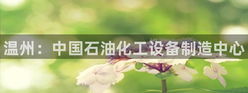 新城平台官网注册入口