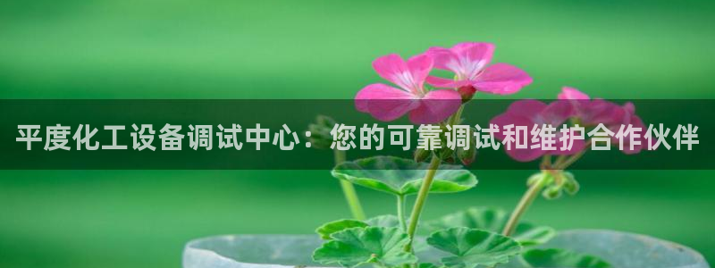 新城平台官网