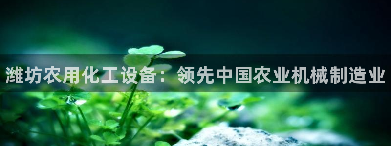 新城平台登录入口官网查询