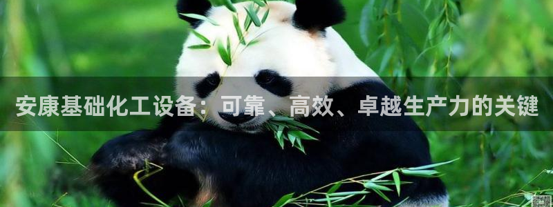 新城平台登录密码忘了