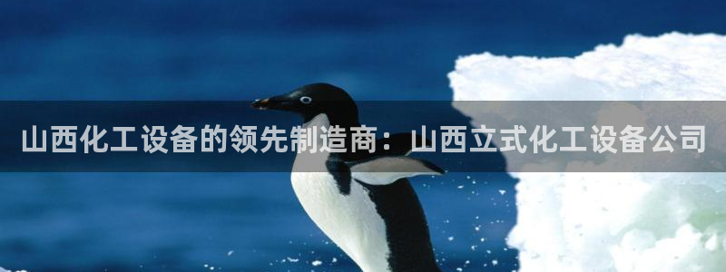 新城平台是干嘛的公司有哪些