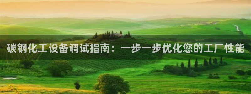 新城平台是干嘛的公司有哪些