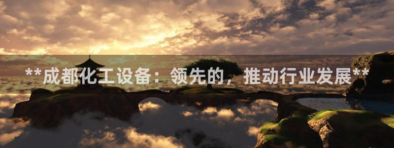 新城平台负责人是谁